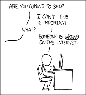 Les « débats » dans Internet